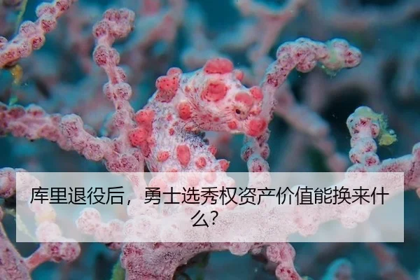 ku-li-tui-yi-hou-yong-shi-xuan-xiu-quan-zi-chan-jia-zhi-neng-huan-lai-shen-me-2-158.jpg